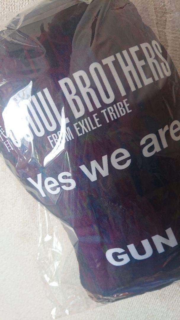 yes we are 岩田剛典 クッション